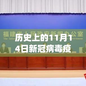 历史上的11月14日福建新冠病毒疫情动态，多方观点与个人立场解析