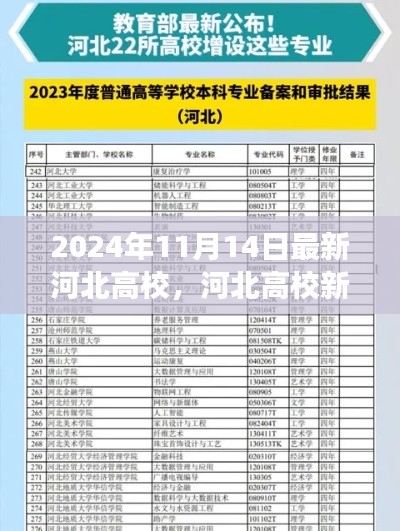 河北高校新纪元深度观察与影响，2024年最新观察报告