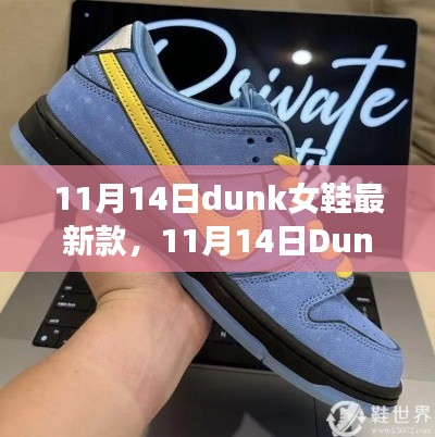 11月14日Dunk女鞋最新款全面介绍与评测