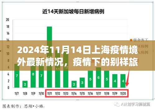 上海疫情境外最新情况与静谧时光下的自然美景治愈之旅