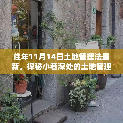 土地管理法新风尚下的特色小店探秘，小巷深处的最新法规之旅