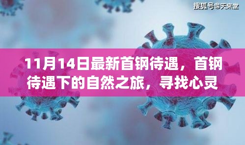 首钢待遇下的自然之旅，心灵宁静与美景交融的探寻之路（11月14日最新）