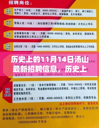 历史上的11月14日汤山最新招聘信息及职场洞察与观点碰撞