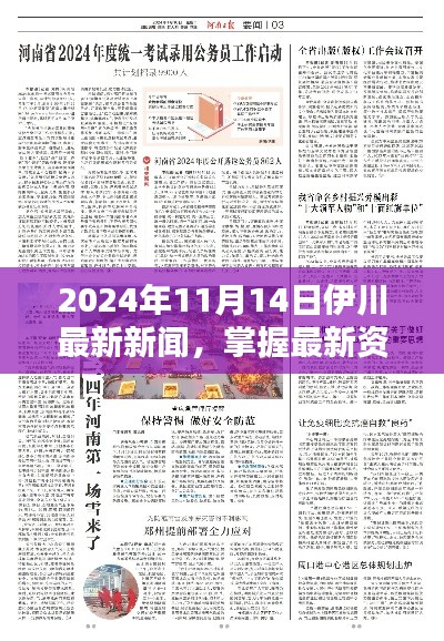 伊川新闻速递，2024年11月14日最新资讯全攻略