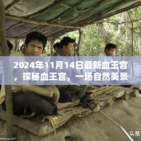 探秘血王宫，自然美景的心灵之旅（最新报道，2024年11月14日）