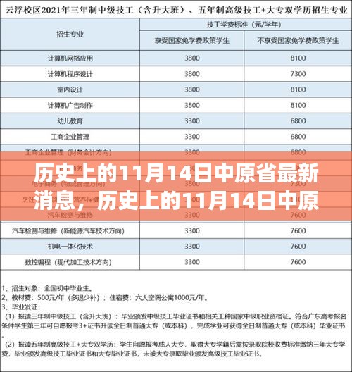 历史上的11月14日中原省最新消息深度解析，观点视角下的探究