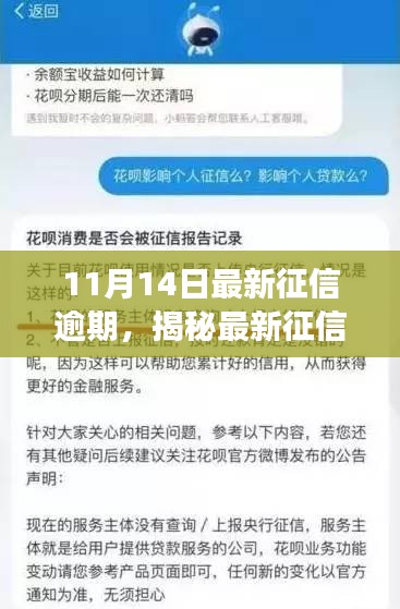 揭秘最新征信逾期现象，应对之道与影响分析（截止日期，11月14日）