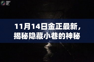 探访金正最新特色小店，揭秘隐藏小巷的神秘宝藏故事