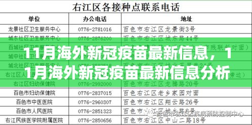 从某某观点看，11月海外新冠疫苗最新信息深度解析与观点分析