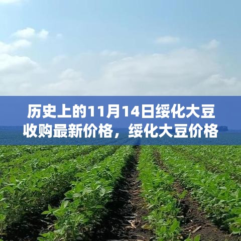 绥化大豆最新收购价格揭秘，与自然美景的邂逅之旅，历史日期下的市场洞察