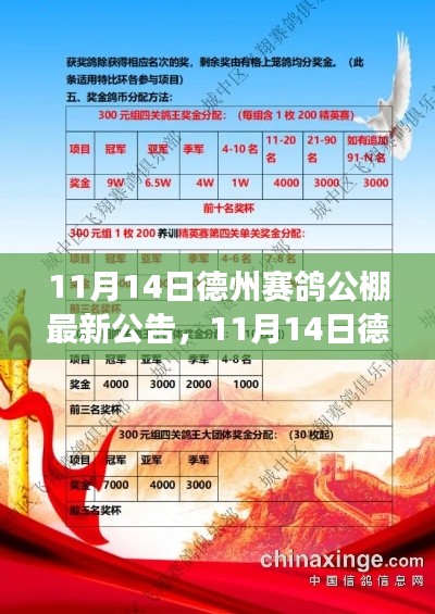 11月14日德州赛鸽公棚最新公告，赛事动态与规则调整全解析