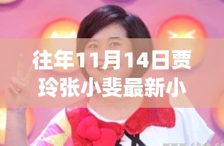 贾玲张小斐历年11月14日小品盛宴，精彩瞬间铸就传奇不朽传奇！