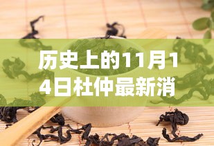 历史上的1月14日，杜仲新篇章的自信与成就感