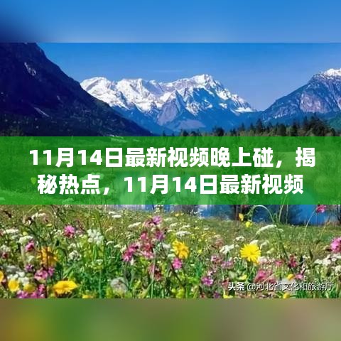 揭秘热点之夜，最新视频盛会盛大开启，11月14日之夜碰盛会