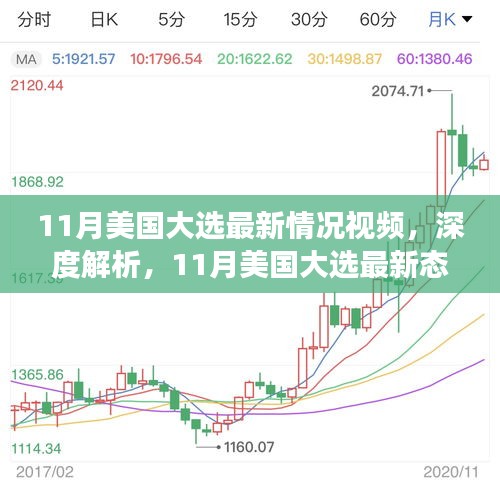 11月美国大选最新态势深度解析，各方观点与个人立场透视