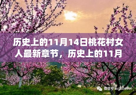 历史上的桃花村女人，故事脉络与最新章节探索揭秘之旅