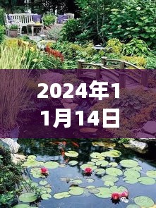 探索市场趋势与机遇，当阳山林鱼池最新买卖动态（2024年11月）