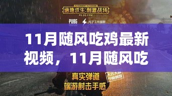 11月随风吃鸡最新视频深度评测与介绍