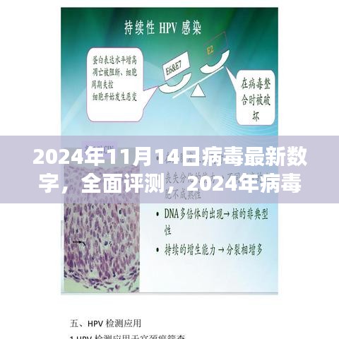 2024年病毒最新数字全面评测，特性、体验、竞品对比及用户群体深度分析