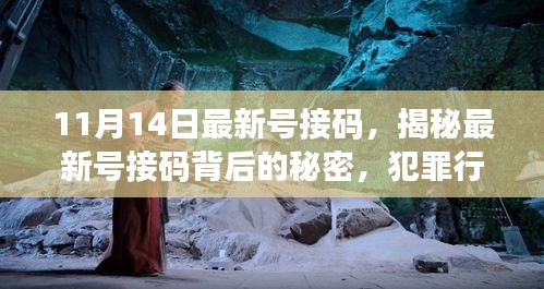 揭秘最新号接码背后的秘密，犯罪行为的警示与剖析（11月14日最新更新）