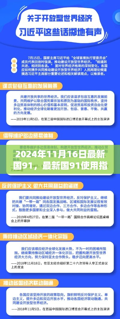 最新国91使用指南，从入门到精通的详细步骤（2024年11月版）