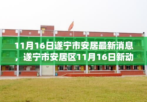 遂宁市安居区11月16日新动态，学习力量的变革与自信成就感的塑造时刻