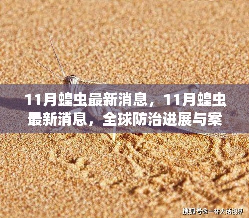 全球蝗虫防治最新进展与案例分析，11月最新消息