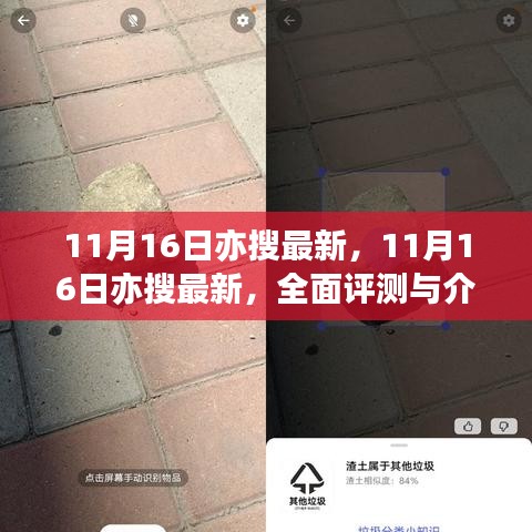 11月16日亦搜最新全面评测与介绍