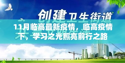 临高疫情下的学习之光，最新动态与前行之路