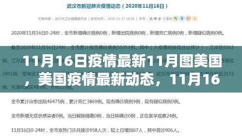 美国疫情最新动态，挑战与希望并存，疫情地图下的11月观察报告