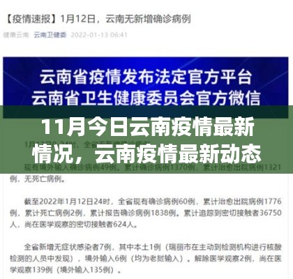 云南疫情最新动态报告，11月防控进展与最新情况分析