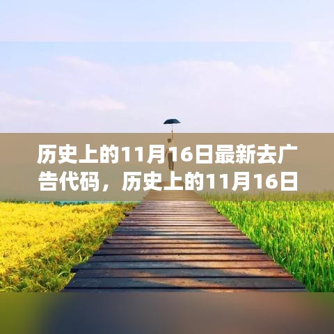 历史上的11月16日，最新去广告代码与启程寻找纯净自然美景之旅的宁静港湾