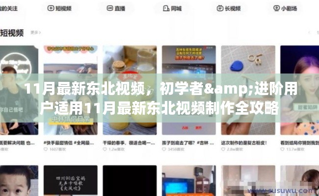 东北视频制作全攻略，适合初学者与进阶用户的最新指南（11月版）