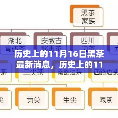 历史上的11月16日黑茶最新消息综述