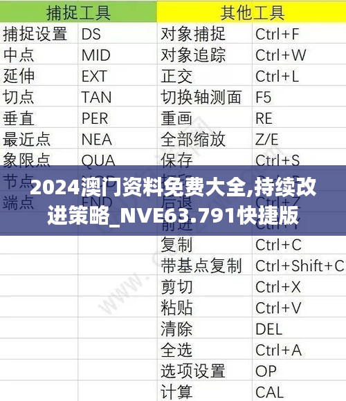 2024澳门资料免费大全,持续改进策略_NVE63.791快捷版