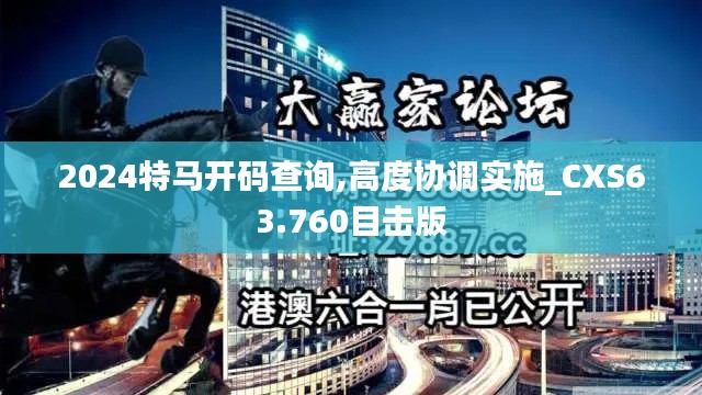 2024特马开码查询,高度协调实施_CXS63.760目击版