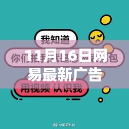 网易11月16日最新广告，温馨日常中的友情与爱