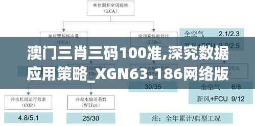 澳门三肖三码100准,深究数据应用策略_XGN63.186网络版