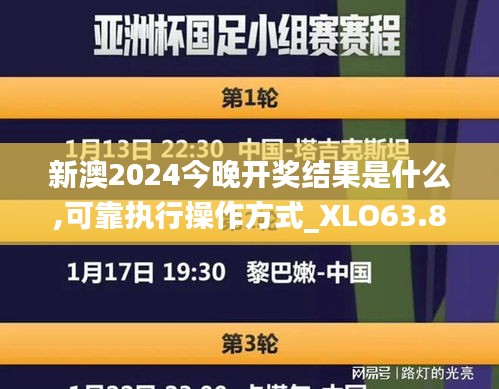 新澳2024今晚开奖结果是什么,可靠执行操作方式_XLO63.871发布版