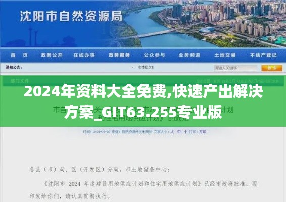 2024年资料大全免费,快速产出解决方案_GIT63.255专业版