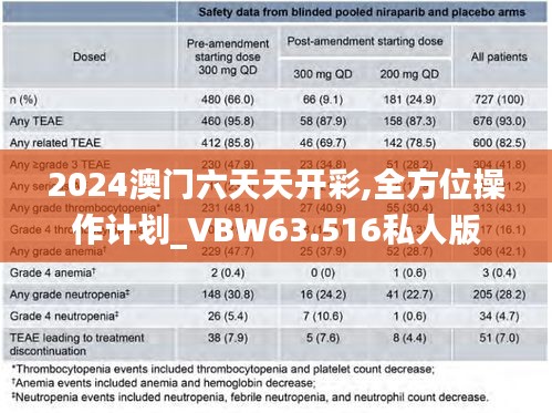 2024澳门六天天开彩,全方位操作计划_VBW63.516私人版