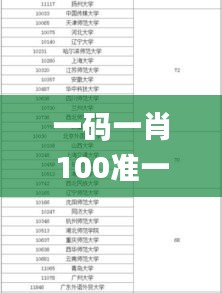 一码一肖100准一,专业解读评估_TIG63.562直观版