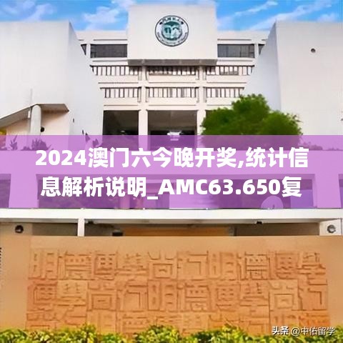 2024澳门六今晚开奖,统计信息解析说明_AMC63.650复古版