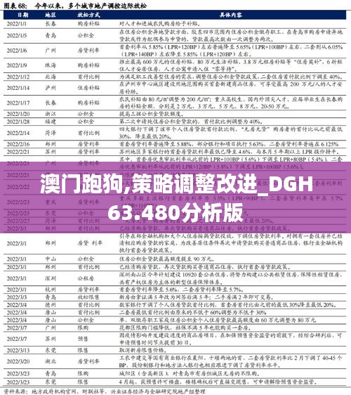 澳门跑狗,策略调整改进_DGH63.480分析版