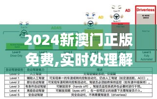 2024新澳门正版免费,实时处理解答计划_GXC63.801清新版