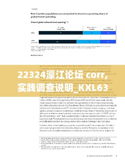 22324濠江论坛 corr,实践调查说明_KXL63.286专属版