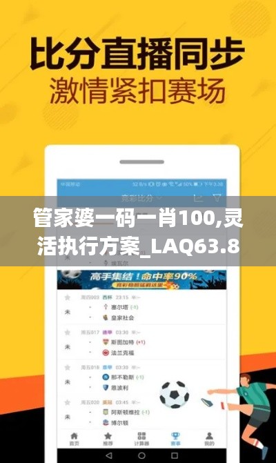 管家婆一码一肖100,灵活执行方案_LAQ63.850丰富版