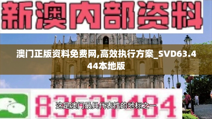 澳门正版资料免费网,高效执行方案_SVD63.444本地版