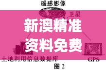 新澳精准资料免费大全,高速应对逻辑_AKV63.237护眼版