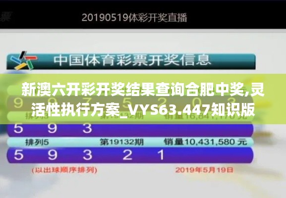 新澳六开彩开奖结果查询合肥中奖,灵活性执行方案_VYS63.447知识版